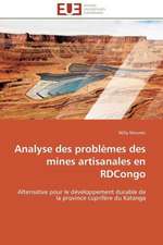 Analyse Des Problemes Des Mines Artisanales En Rdcongo