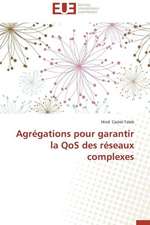 Agregations Pour Garantir La Qos Des Reseaux Complexes: Un Indice Multicritere