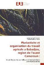 Pluriactivite et organisation du travail agricole a Babadjou, region de l¿ouest Cameroun :