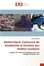 BioKernSprit: Carburant de biodéchets et charbon par chaleur nucléaire