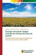 Energia renovável: biogás oriundo da vinhaça de cana de açúcar