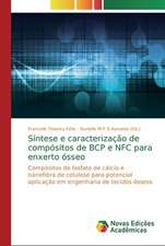 Síntese e caracterização de compósitos de BCP e NFC para enxerto ósseo