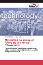 Materiales de silicio: el futuro de la energía fotovoltaica