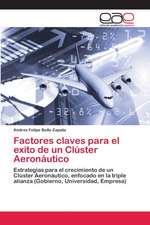 Factores claves para el exito de un Clúster Aeronáutico