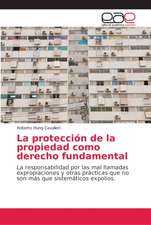 La protección de la propiedad como derecho fundamental