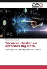 Técnicas clúster en entornos Big Data