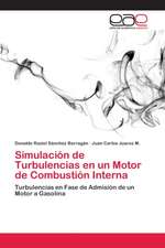 Simulación de Turbulencias en un Motor de Combustión Interna