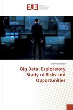 Big Data: Exploratory Study of Risks and Opportunities