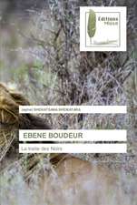EBENE BOUDEUR