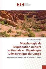 Morphologie de l'exploitation minière artisanale en République Démocratique du Congo