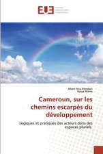 Cameroun, sur les chemins escarpés du développement