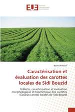 Caractérisation et évaluation des carottes locales de Sidi Bouzid