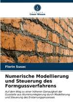 Numerische Modellierung und Steuerung des Formgussverfahrens