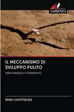 IL MECCANISMO DI SVILUPPO PULITO