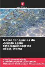 Novas tendências do Zeólito como fotocatalisador no ecossistema