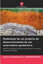 Modelação de um projecto de desenvolvimento de um reservatório geotérmico