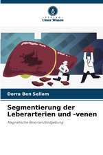 Segmentierung der Leberarterien und -venen