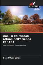 Analisi dei vincoli attuali dell'azienda EFBACA