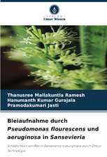 Bleiaufnahme durch Pseudomonas flourescens und aeruginosa in Sansevieria