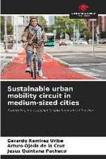 Sustainable urban mobility circuit in medium-sized cities