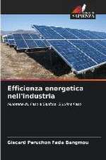 Efficienza energetica nell'industria