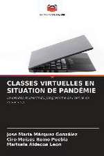 CLASSES VIRTUELLES EN SITUATION DE PANDÉMIE