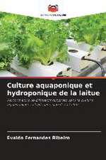 Culture aquaponique et hydroponique de la laitue