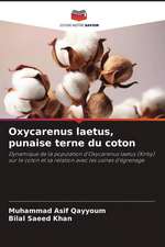 Oxycarenus laetus, punaise terne du coton