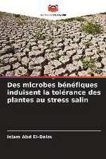 Des microbes bénéfiques induisent la tolérance des plantes au stress salin