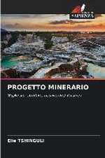 PROGETTO MINERARIO