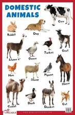 Domestic Animals Educational Chart