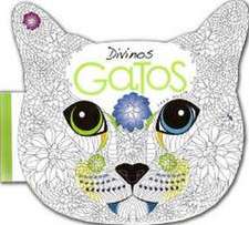 Divinos gatos