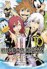 Kingdom Hearts II, 10