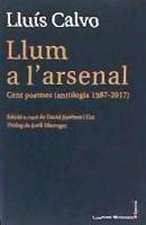 Llum a l'arsenal : Cent poemes (antologia 1987-2017)