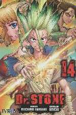 Dr Stone