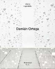 Damián Ortega: Expanded View