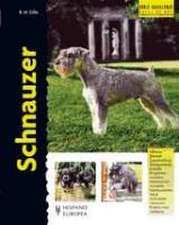 Schnauzer