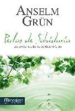 Perlas de sabíduria : los textos más bellos de Anselm Grüm