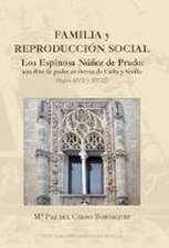 Familia y reproducción social : los Espinosa Núñez de Prado : una élite de poder en tierras de Cádiz y Sevilla, siglos XVII y XVIII