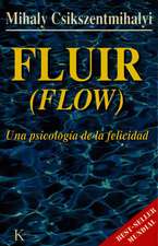 Fluir (Flow): Una Psicologia de La Felicidad