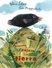 Pequeno Pajaro de Tierra: Columpio y Chupete