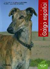 El galgo español