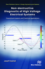 Non-destructive Diagnostic of High Voltage Electrical Systems: Theoretical Analysis and Practical Applications