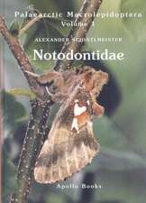 Notodontidae