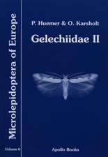 Gelechiidae II