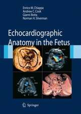 Echocardiographic Anatomy in the Fetus