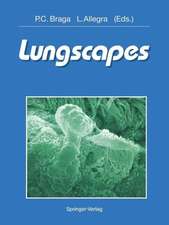 Lungscapes