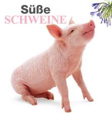 Süße Schweine