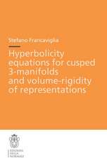 Hyperbolicity equations for cusped 3-manifolds and volume-rigidity of representations