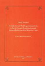 Evolution from BCS super-conductivity to Bose-Einstein condensation and infrared behavior of the bosonic limit